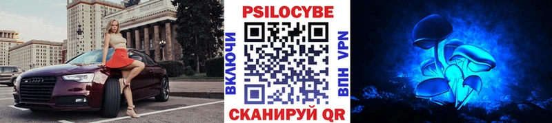 хочу наркоту  Краснокаменск  Псилоцибиновые грибы Psilocybe 